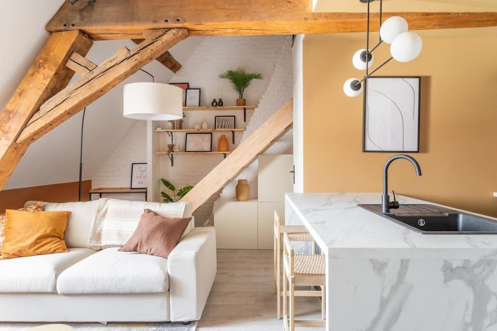 Le Cosy - Loft Sublime Plein Centre De Douai Leilighet Eksteriør bilde